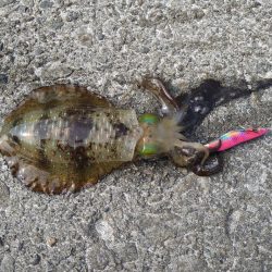 季節外れの寒さ